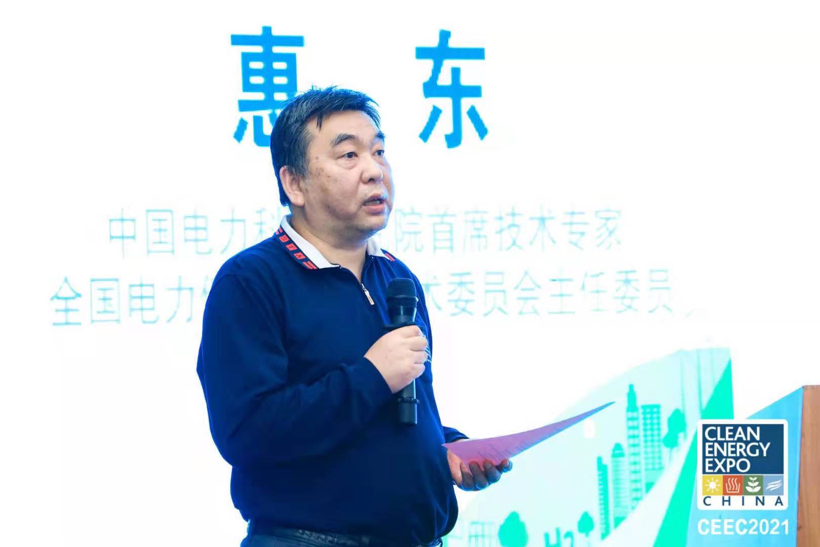 中国电力科学研究院首席技术专家、全国电力储能标准化技术委员会主任委员惠东