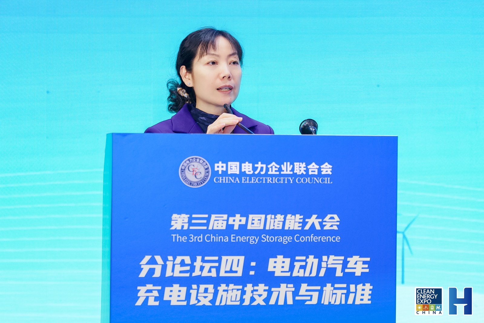 周丽波  中电联电动交通与储能分会副秘书长