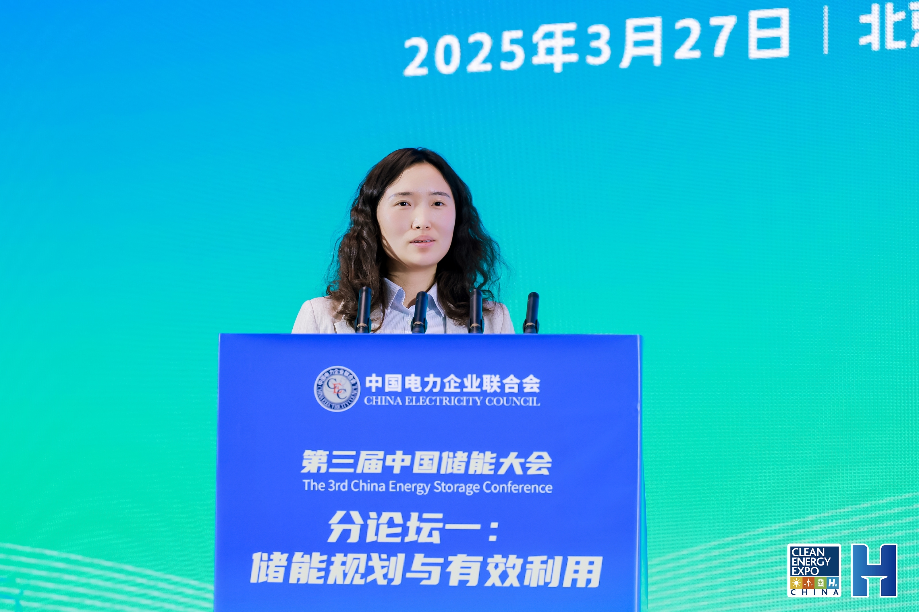 史静  国网江苏省电力有限公司经济技术研究院专家