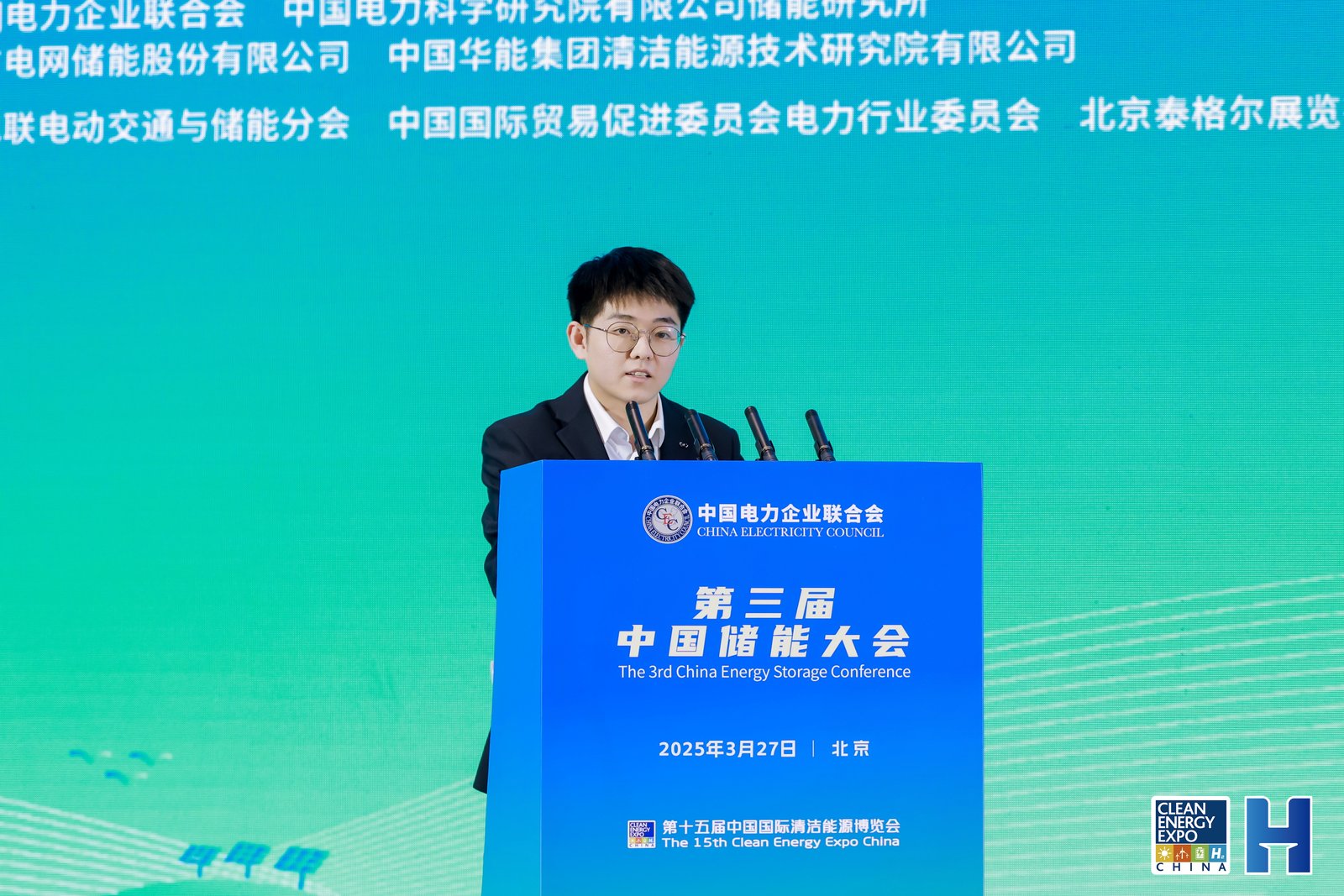 张梓泳 三峡陆上新能源投资有限公司科技创新部主任