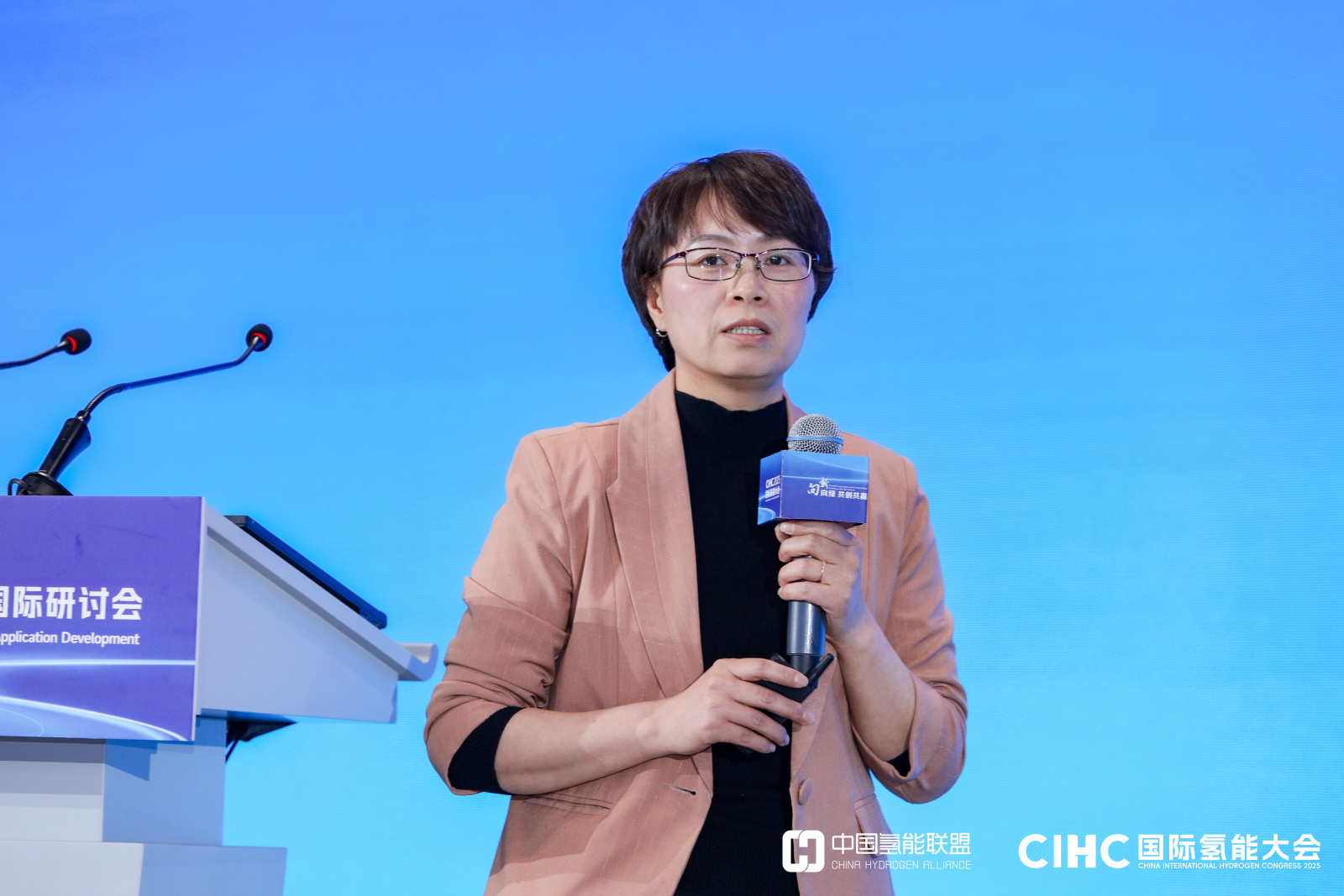 王丽丽  金风科技股份有限公司风电事业部副总经理